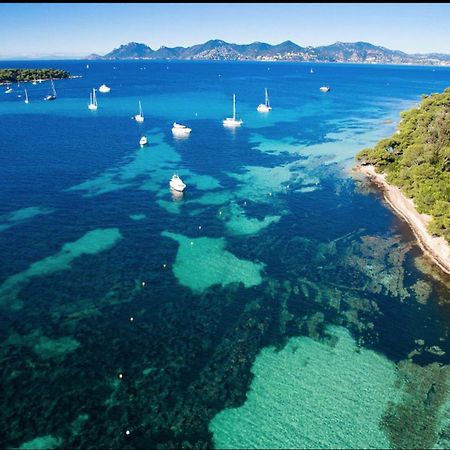 Le Bristol Daire Cannes Dış mekan fotoğraf