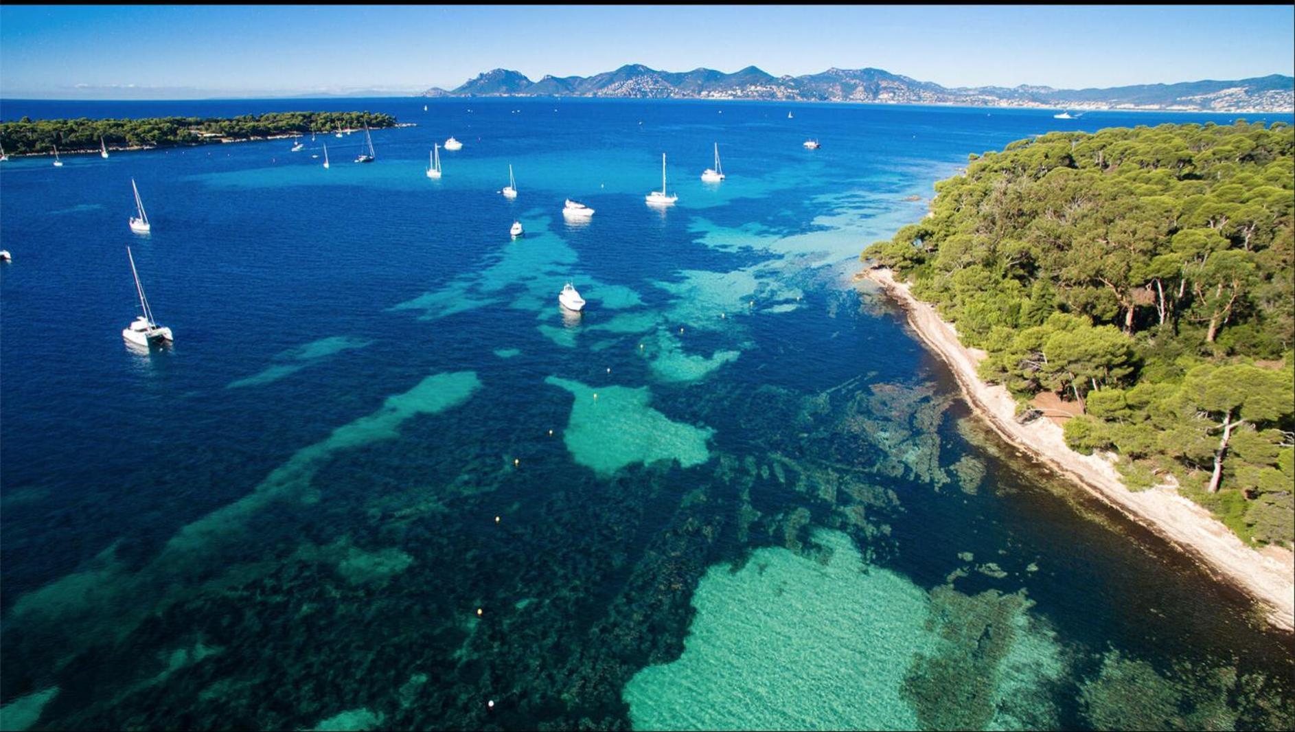 Le Bristol Daire Cannes Dış mekan fotoğraf